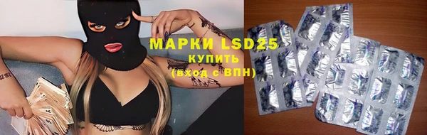шишки Алзамай