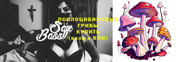 шишки Алзамай
