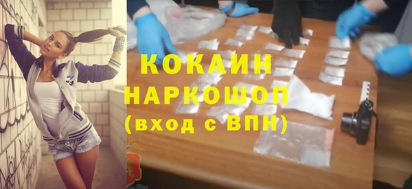 шишки Алзамай