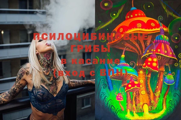 шишки Алзамай