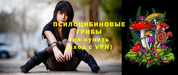 скорость Алексин