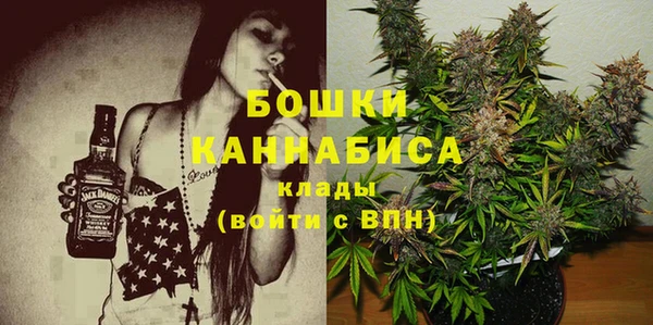 шишки Алзамай