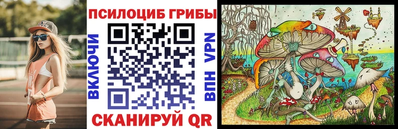 KRAKEN ссылки Ярцево Галлюциногенные грибы мицелий